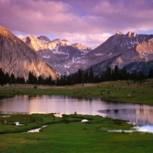 Meet your Posher, Joy